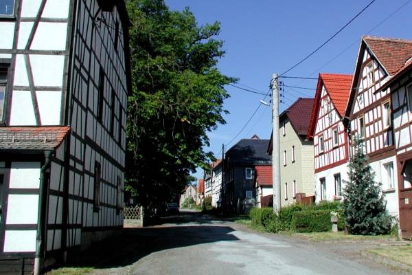 Teichweiden_Teichweiden 02.jpg
